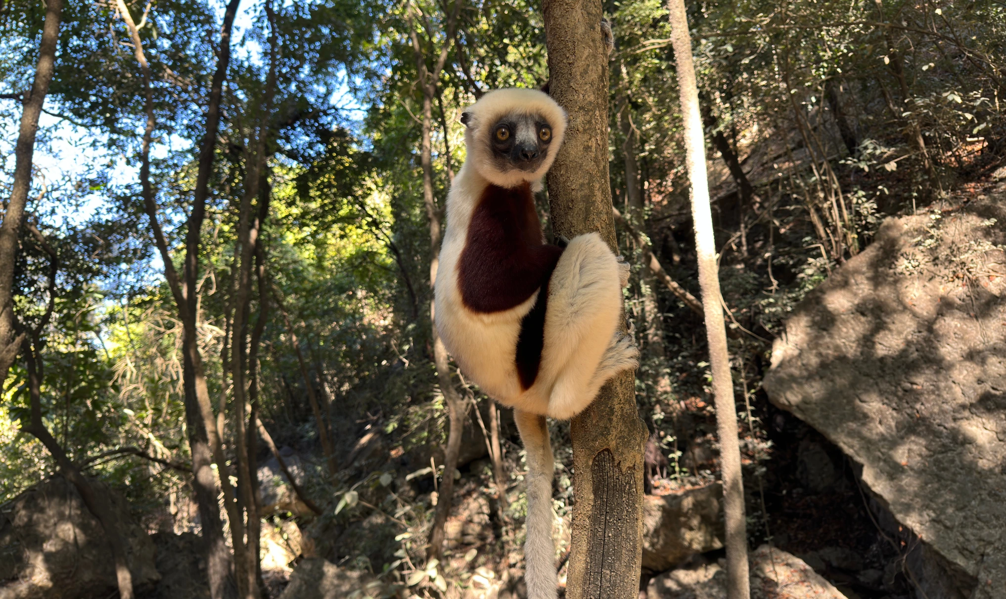 Earth impact at Madagascar