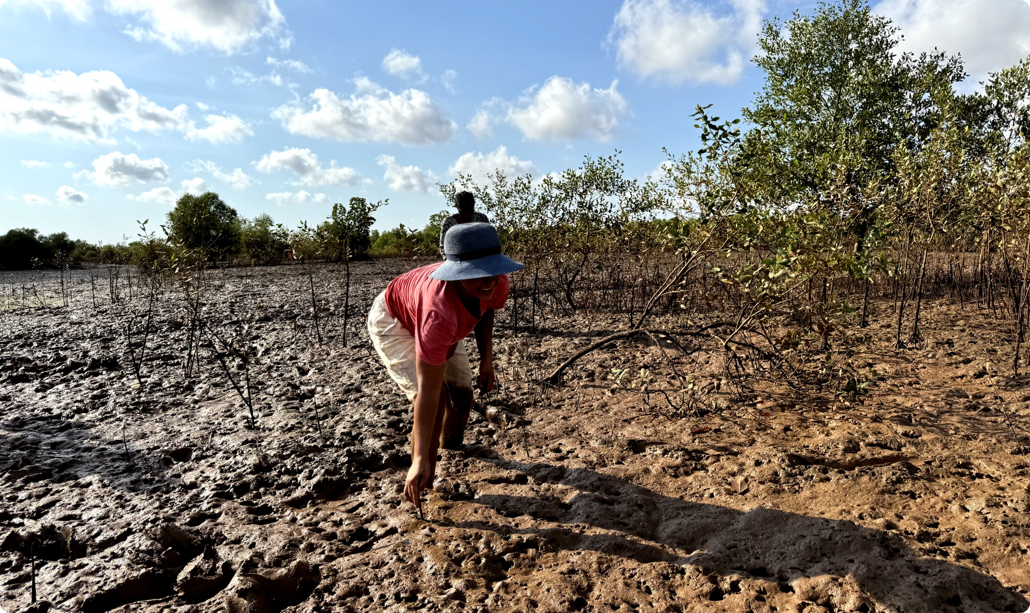 Earth impact at Madagascar